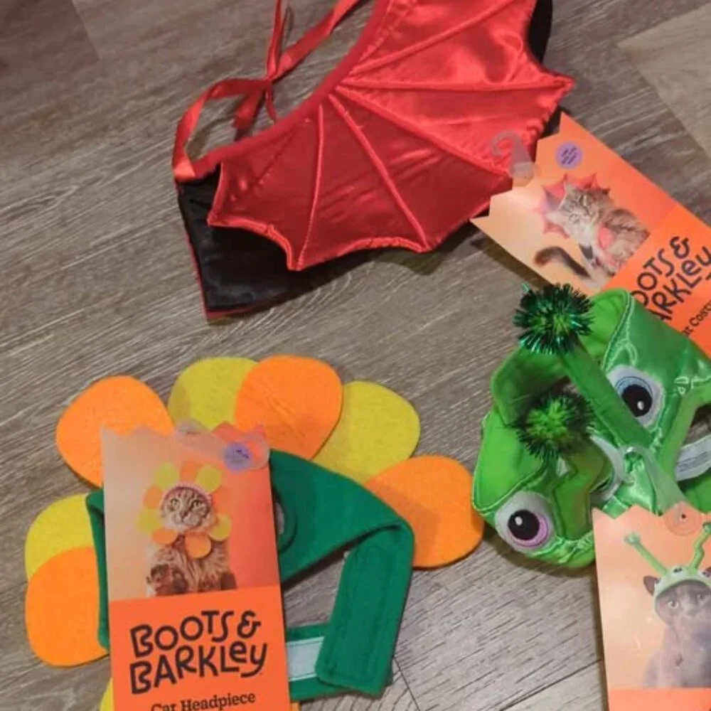 Boots and Barkley cat Halloween costumes and cat toy new
